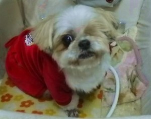 IMGP0075