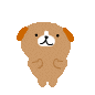 hakusyu hakusyu